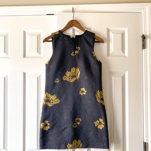 Zara Navy Blue Dress